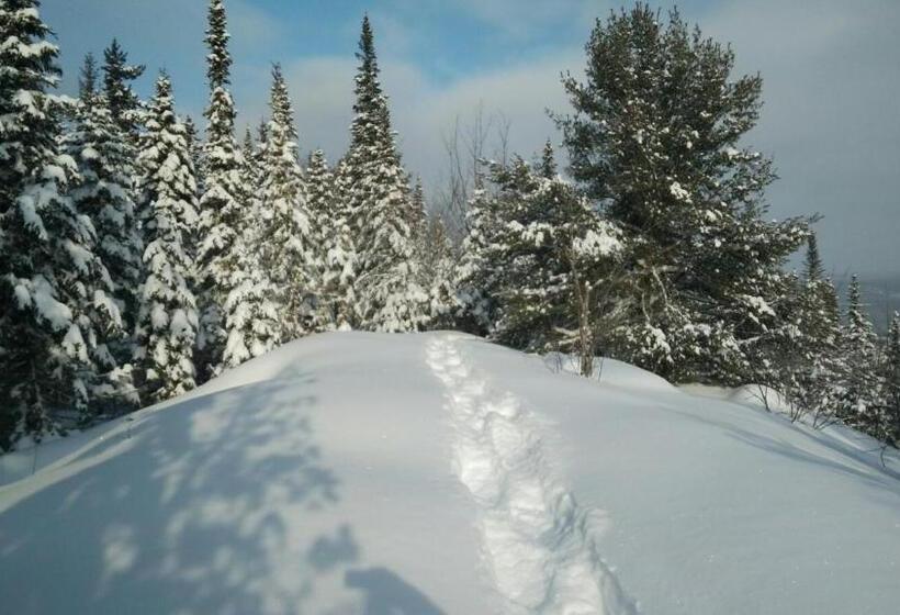 Gîte La Belle Aventure B&b