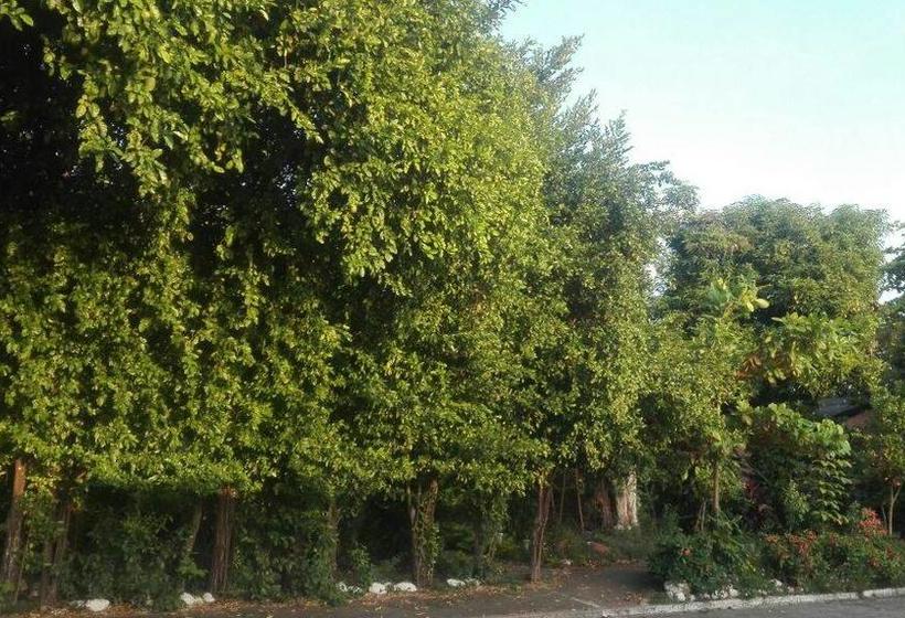 Backpackers And Travellers Hostel