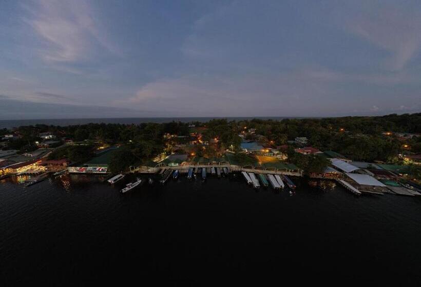 Hostel Tortuguero 7backpackers