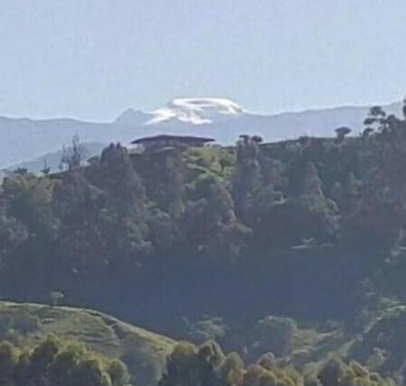 Отель Boutique Palmas de Salento