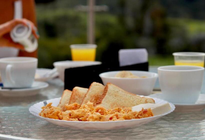 Отель Boutique Palmas de Salento