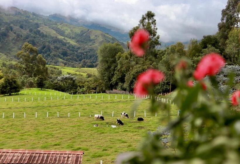 Отель Boutique Palmas de Salento