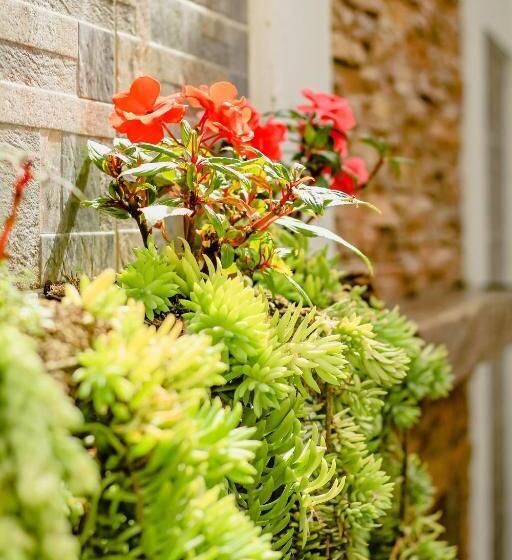 هتل Boutique Palmas de Salento