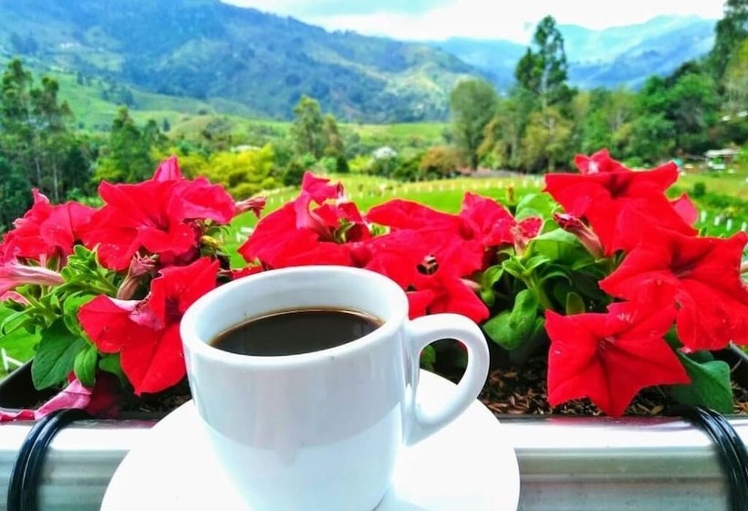 Отель Boutique Palmas de Salento