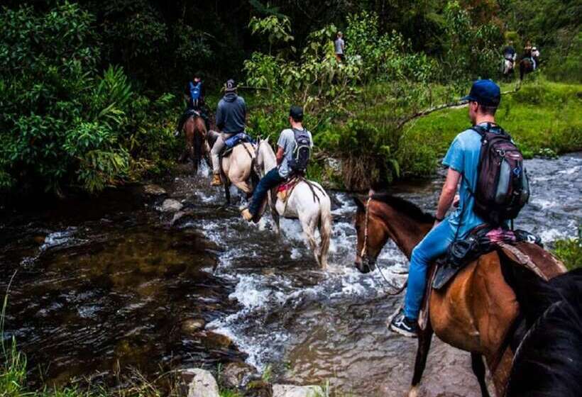 Отель Boutique Palmas de Salento