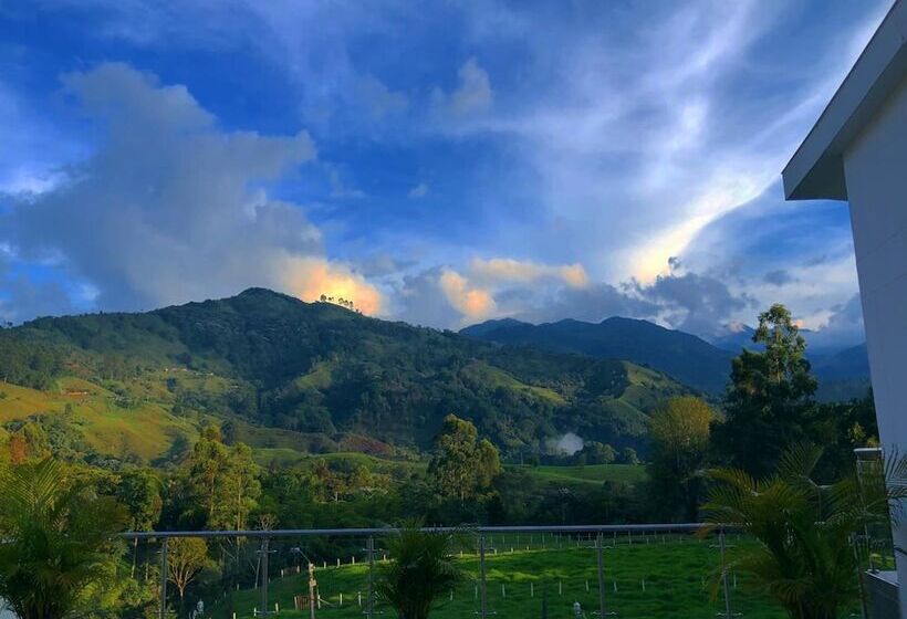 هتل Boutique Palmas de Salento