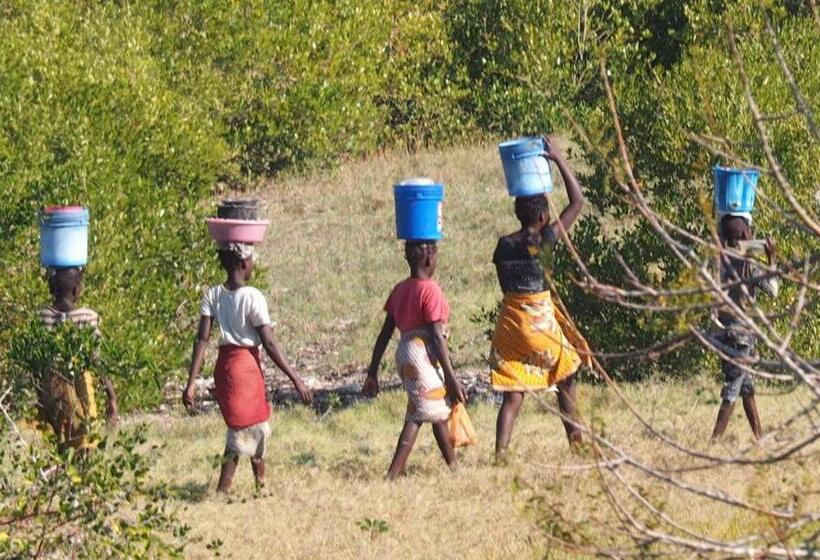 فندق Cafe Central