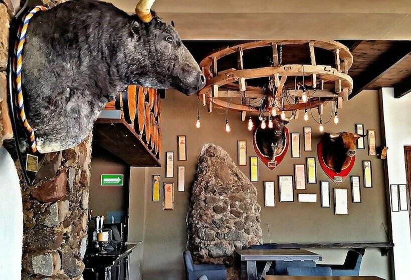 Hacienda El Salitre Hotel & Spa