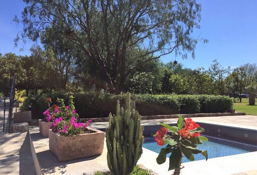 酒店 Hacienda Santa Fe