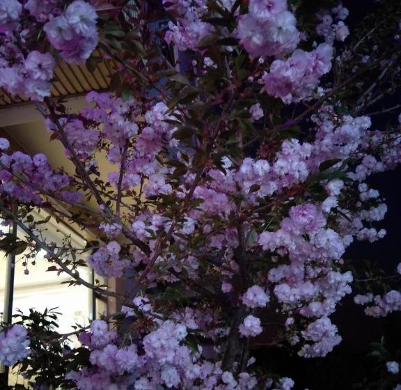 ホテル Hanggong Holiday