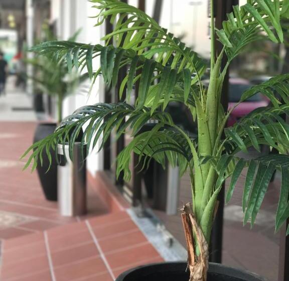 בית מלון כפרי Potpourri Boutique