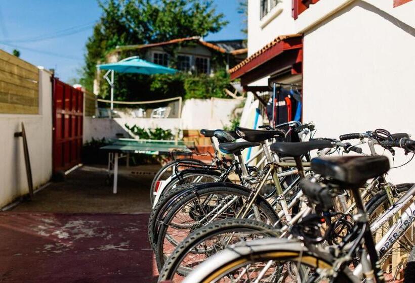 فندق صغير Nami House