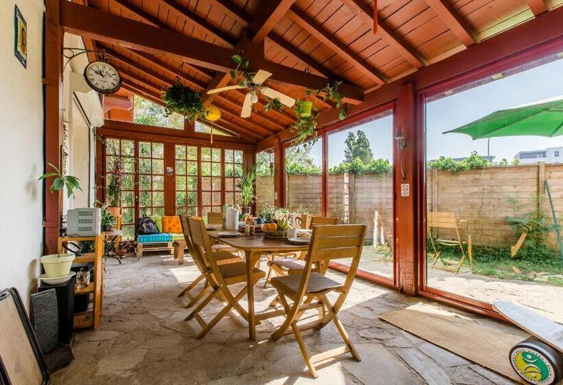 فندق صغير Nami House