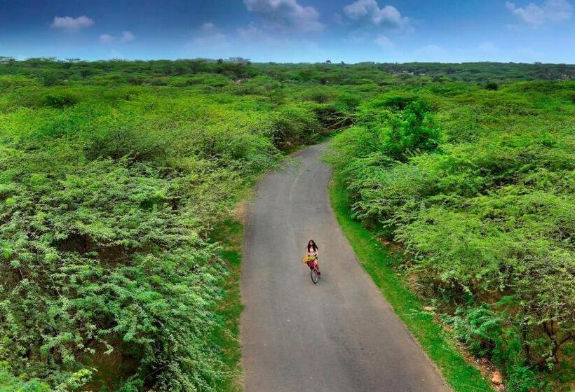 渡假胜地  The Lalit Mangar