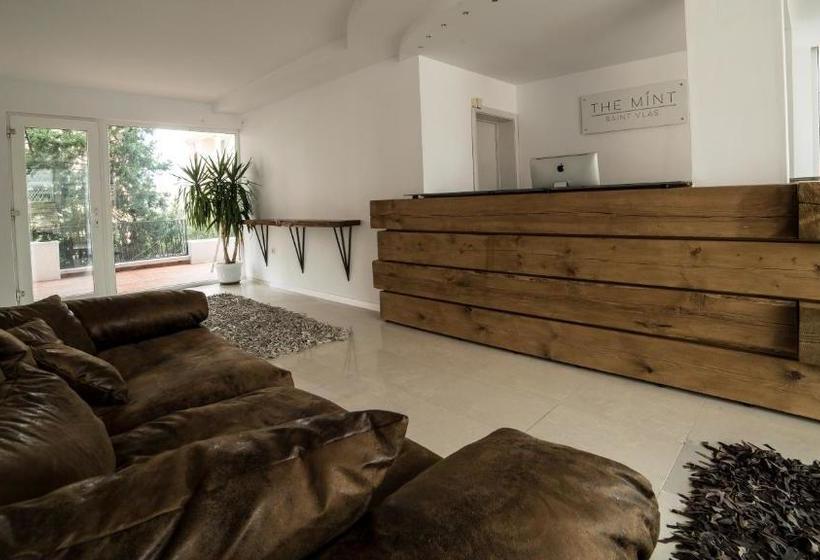 酒店 The Mint Villa Saint Vlas