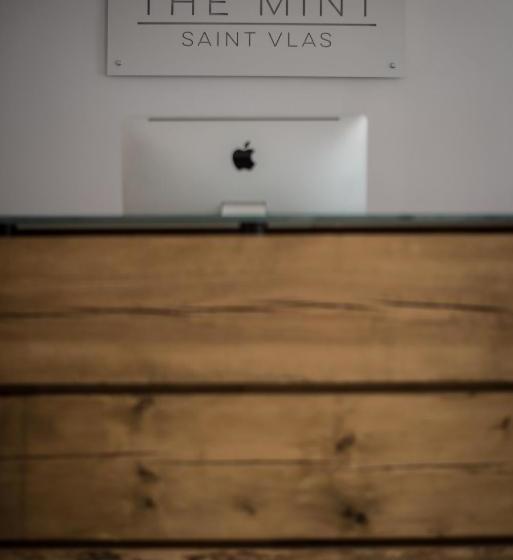 酒店 The Mint Villa Saint Vlas