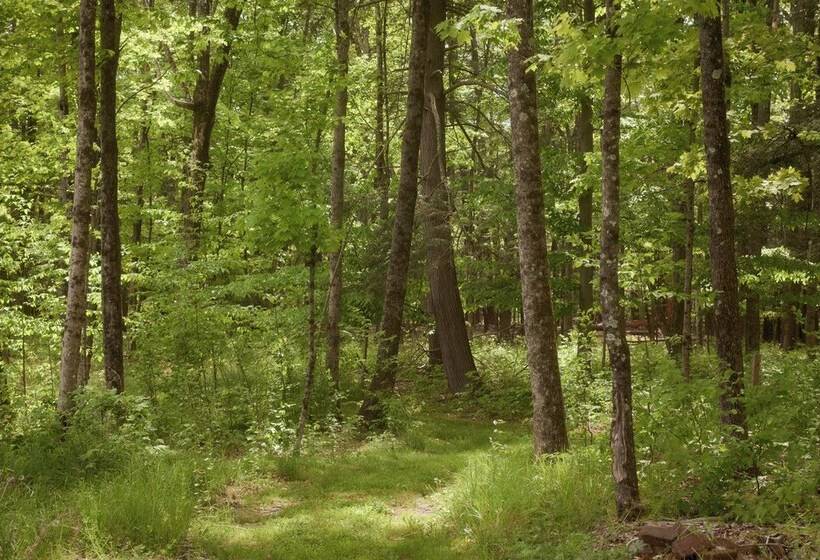 Eclectic Ulster County Cabin ~ 14 Mi To Waterfalls
