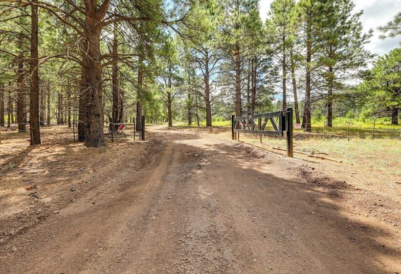 Forested Flagstaff Cabin ~ 23 Mi From Downtown