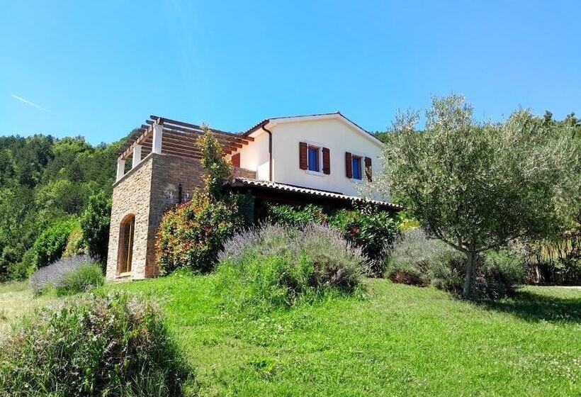 פנסיון Villa Dol