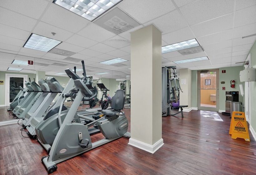 Serene Cozy Retreat With Balcony Free Parking