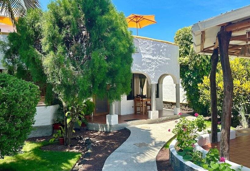 Общежитие Hostal Sueños Silvestres