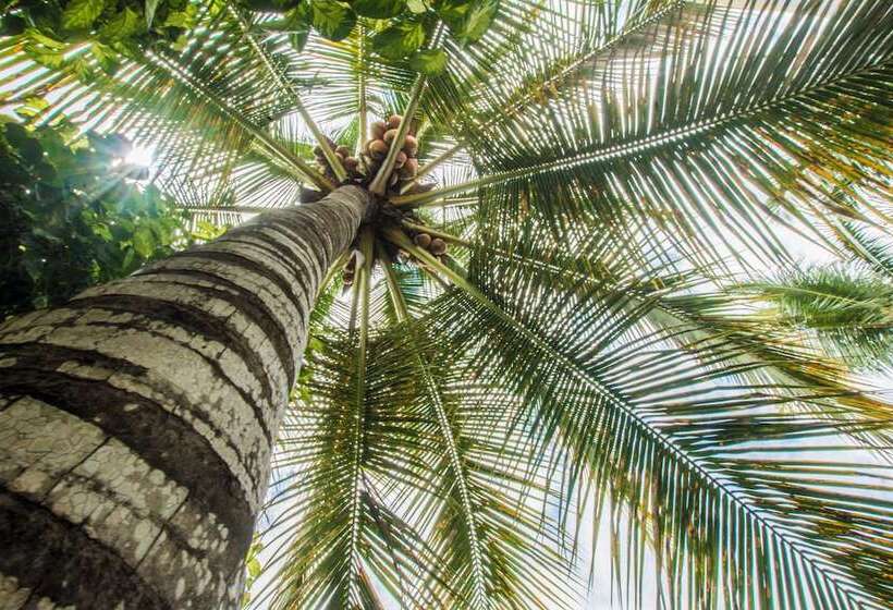 Общежитие Hostal Sueños Silvestres