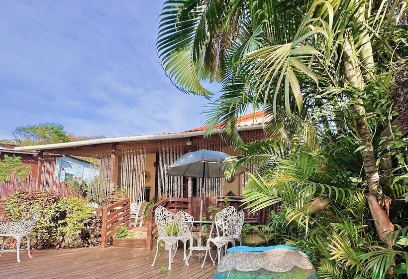 호텔 Pousada Golfinho