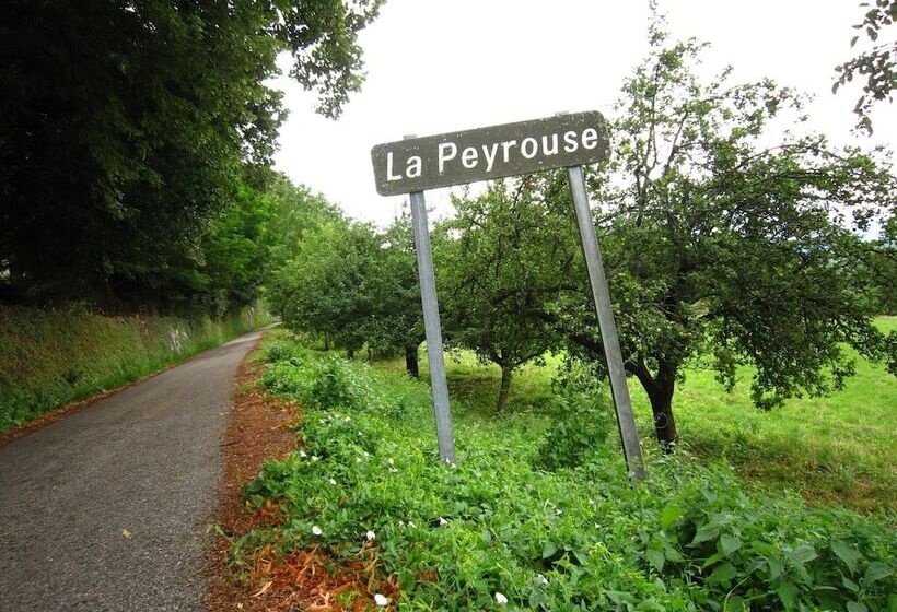 בית מלון כפרי Renovated Castle Apartment With Swimming Pool