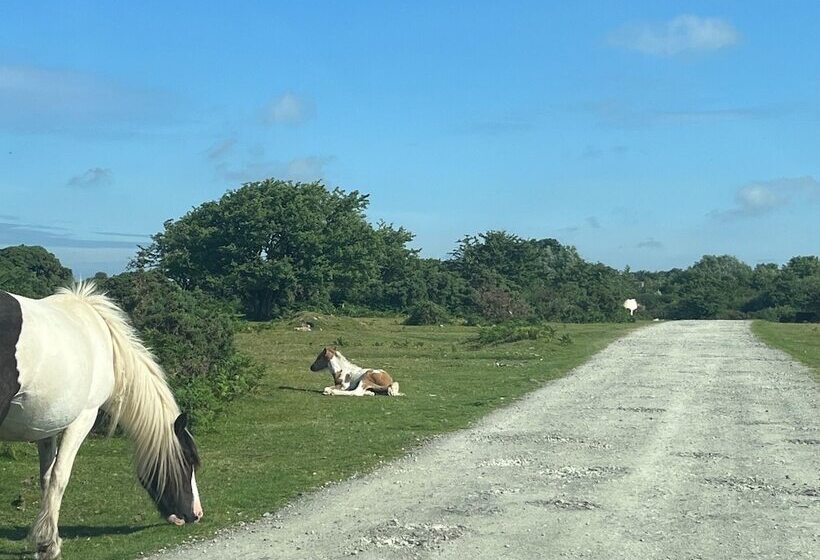 乡村酒店  Farmhouse Annexe With Home Cooked Breakfast