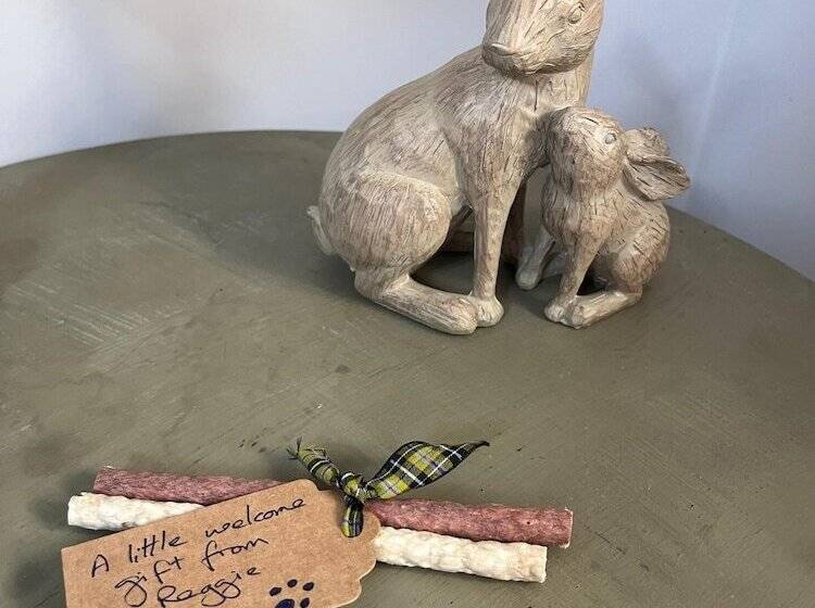 乡村酒店  Farmhouse Annexe With Home Cooked Breakfast