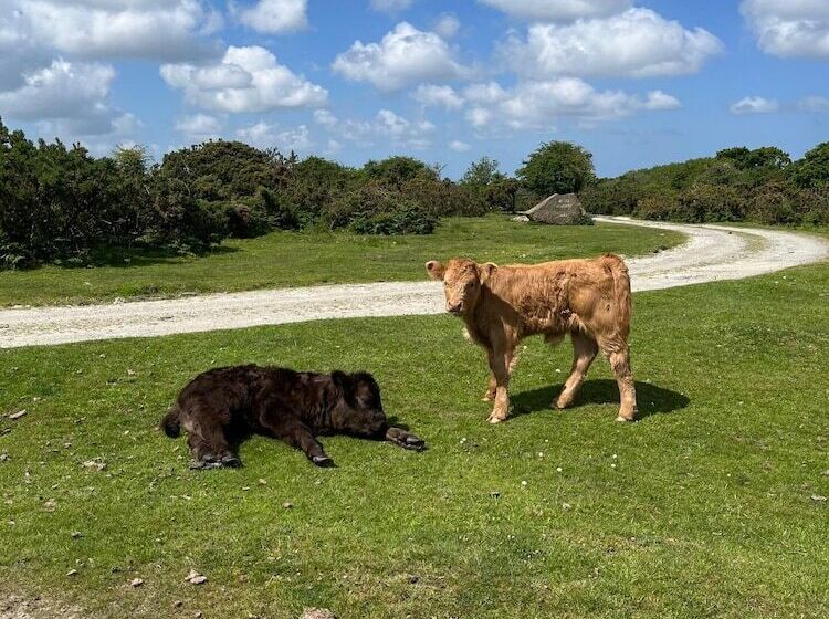 乡村酒店  Farmhouse Annexe With Home Cooked Breakfast