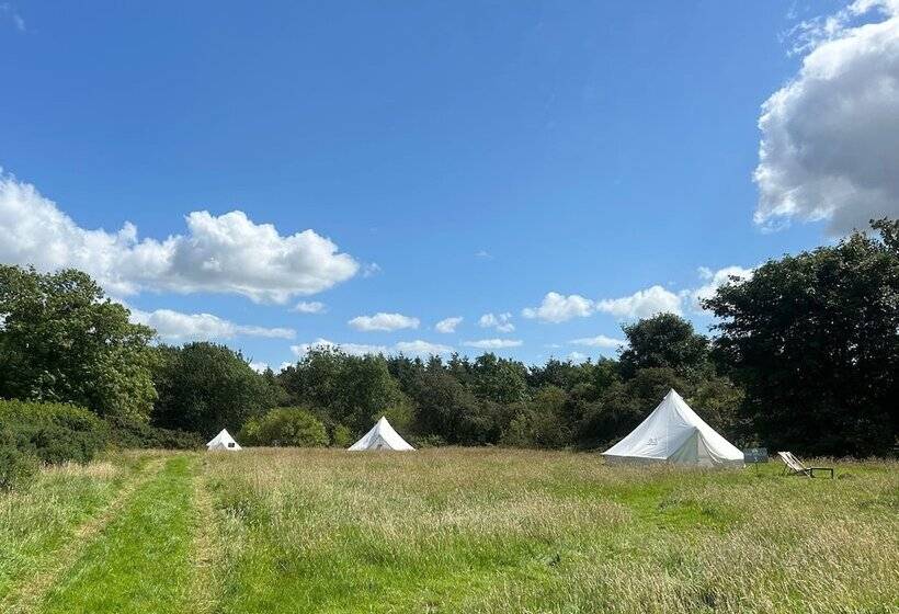 ホテル The Bells   South Berrington