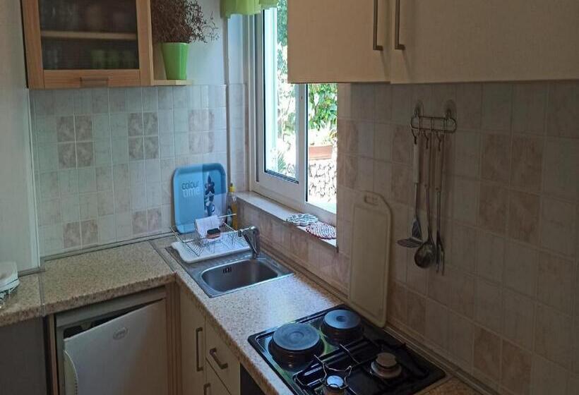 פנסיון Apartments & Rooms Jokovic