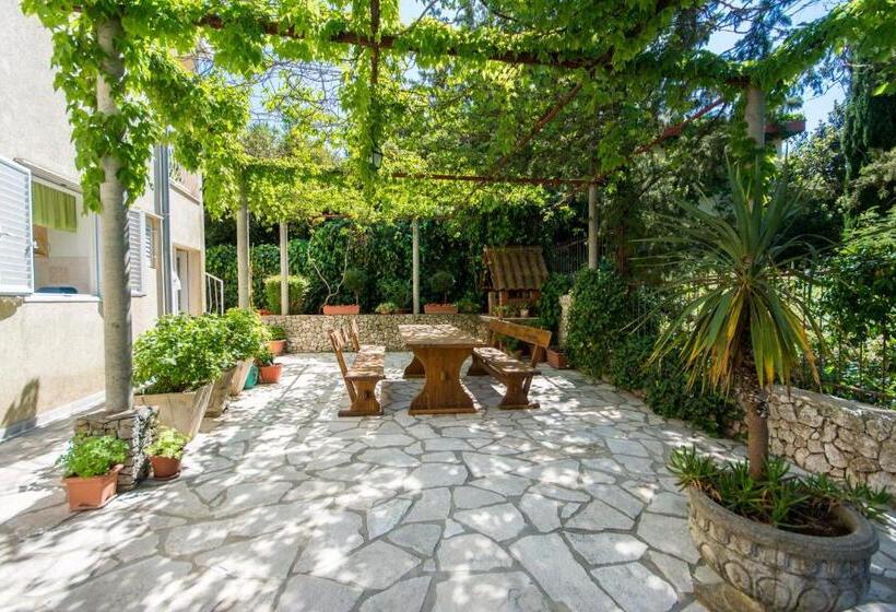 פנסיון Apartments & Rooms Jokovic