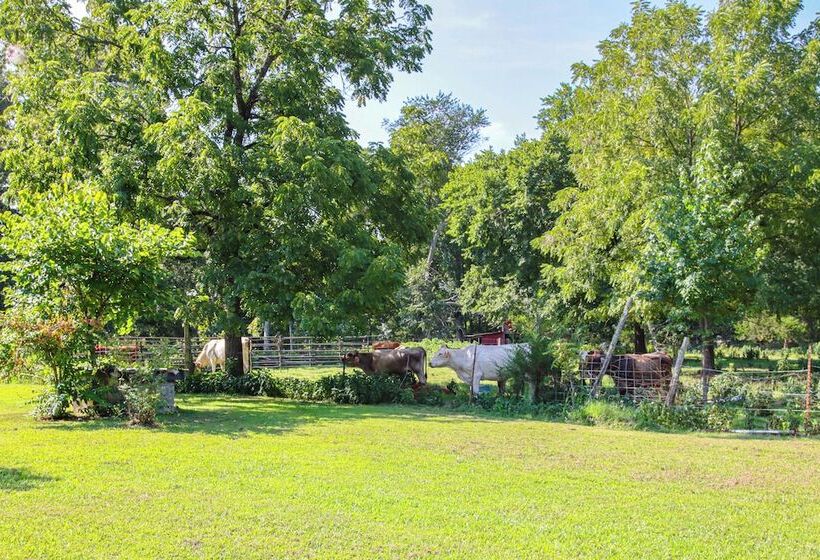 Horses Welcome: Marble Falls Home W/ Grill!