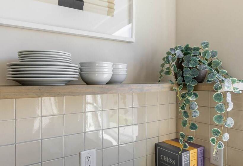 The Conway Ensemble Escape In Dt Nash 5 Bdrs