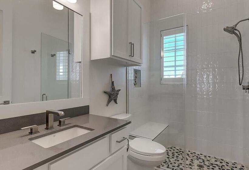 The Great White 306 Dar