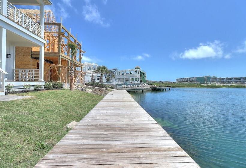 The Great White 306 Dar