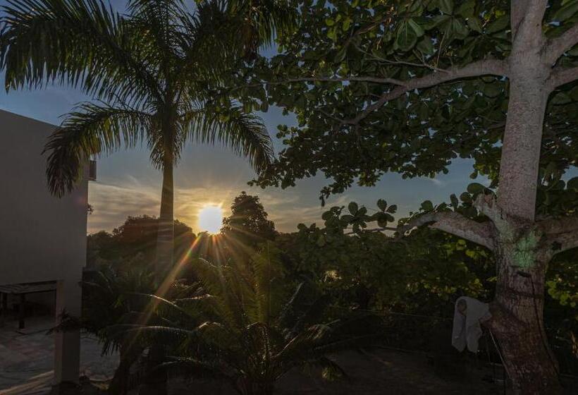 酒店 Pousada Recanto Dos Pássaros   Arraial D Ajuda