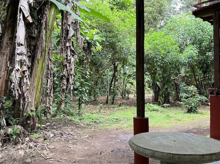 تختخواب و صبحانه Chilamate Rainforest Eco Retreat