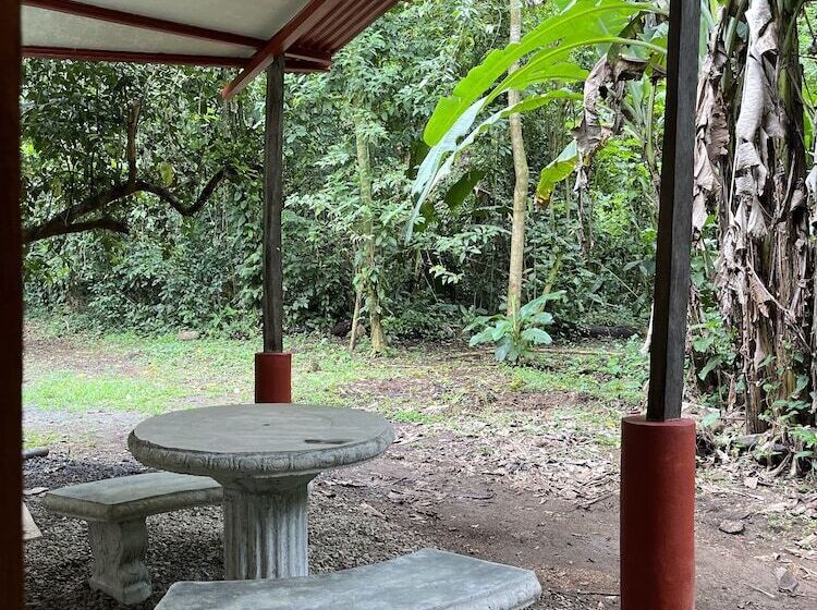 تختخواب و صبحانه Chilamate Rainforest Eco Retreat