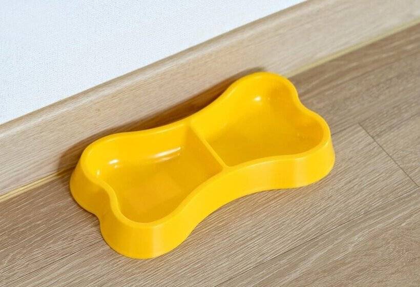 Gapyeong Walkingoncloud Pension & Glamping