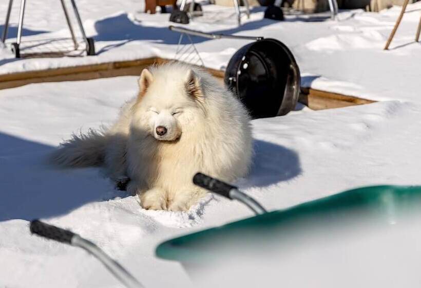 Gapyeong Walkingoncloud Pension & Glamping