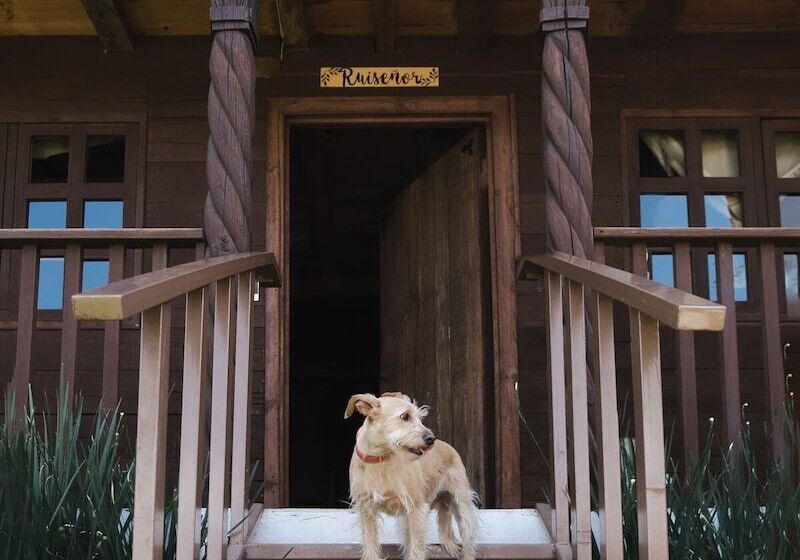 فندق La Diligencia Cabañas Campestres