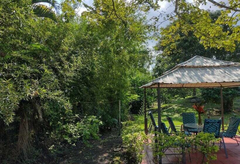 Отель Campestre El Salitre