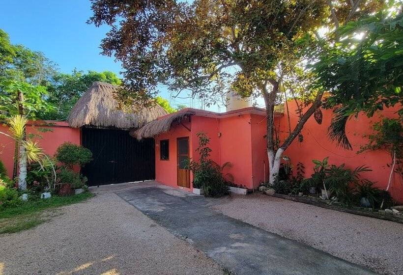 ホテル Casa Coral