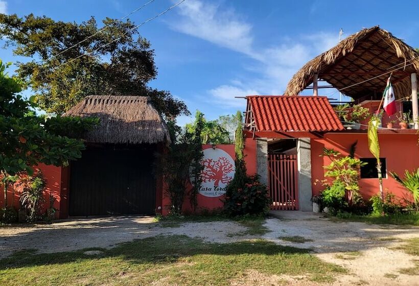 ホテル Casa Coral