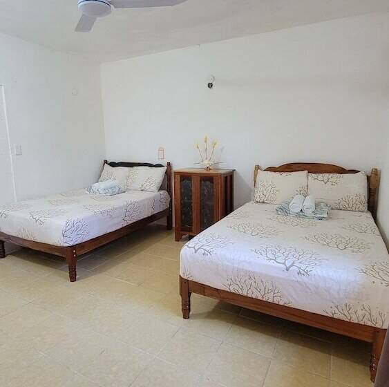 ホテル Casa Coral