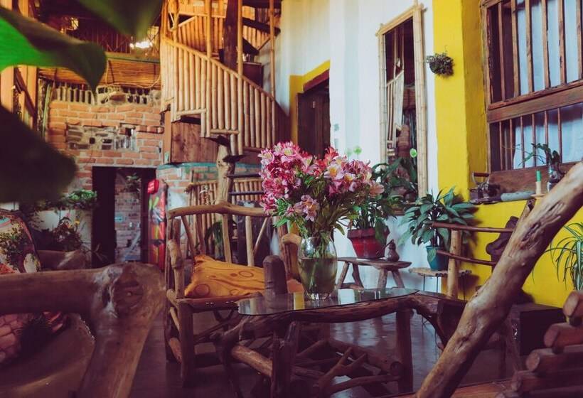 酒店 Casa Tarza San Agustín