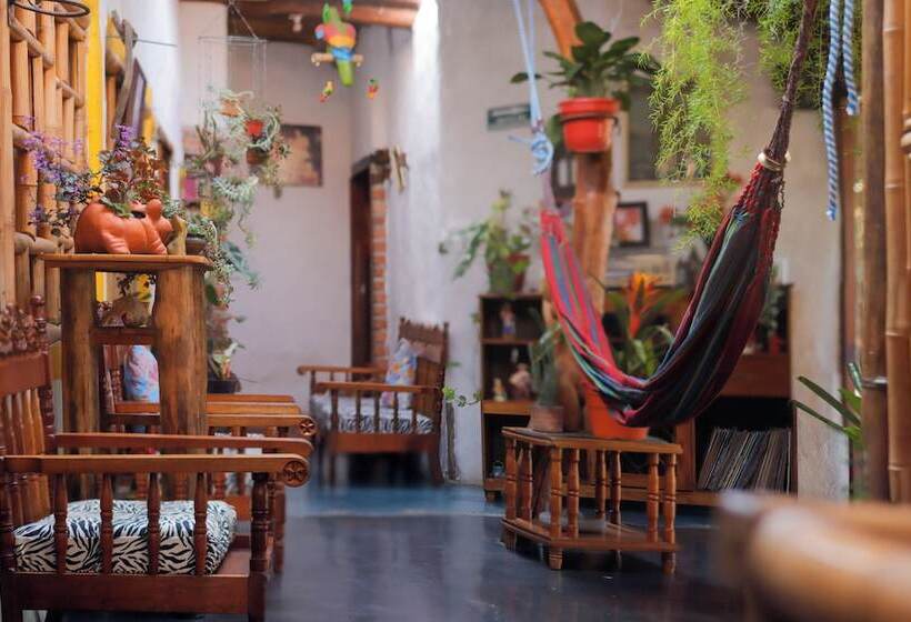 هتل Casa Tarza San Agustín